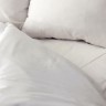 Bed Sheet Flat 66 X 104 Inch White Cotton 55% / Polyester 45% Reusable